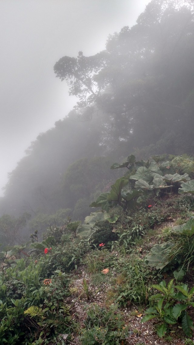 16722606_10154679771068101_6913861066587243882_o