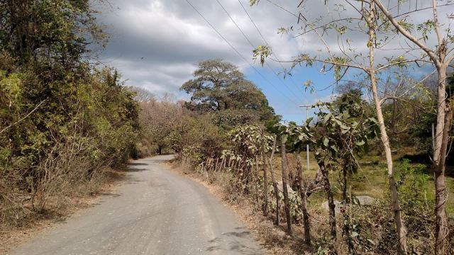 17523313_10154807558138101_4459217824862495731_n