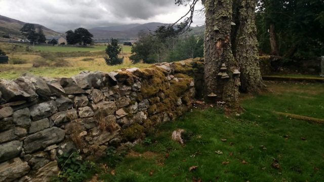 42220232290_dbf8afe8ca_k