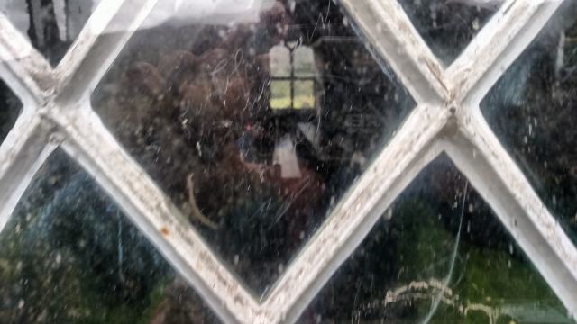 43123365415_dbe9d631cc_k